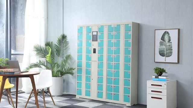 智能儲(chǔ)物柜的多樣化